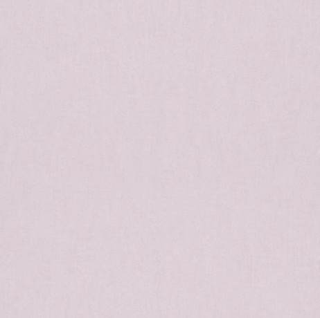 Обои Rasch Вambino XVII 247435